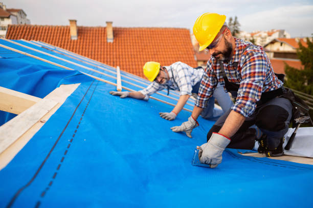 Best Roof Gutter Cleaning  in Balm, FL
